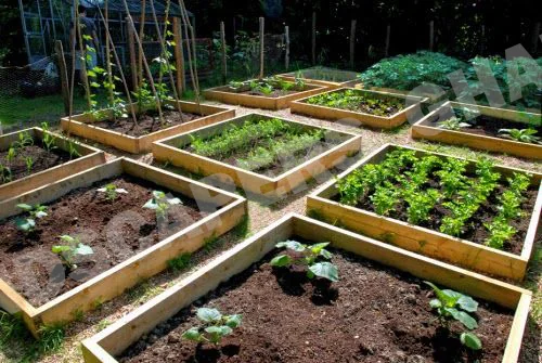 Gallery in Tema, Ghana | Expert Landscaping & Garden Design | Landscapers Ghana