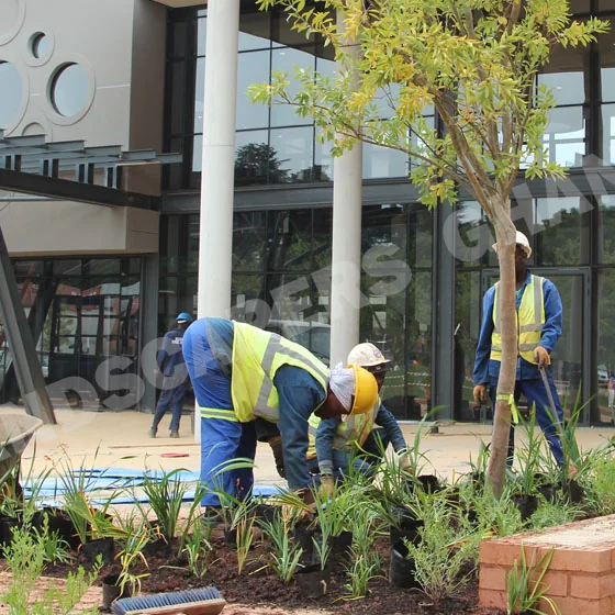 Gallery in East Legon, Ghana | Expert Landscaping & Garden Design | Landscapers Ghana