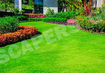 Gallery in Labone, Ghana | Expert Landscaping & Garden Design | Landscapers Ghana