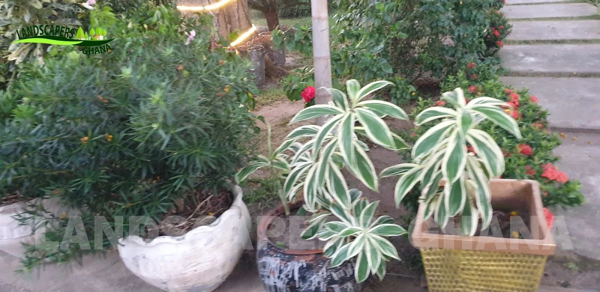 Gallery in Takoradi, Ghana | Expert Landscaping & Garden Design | Landscapers Ghana