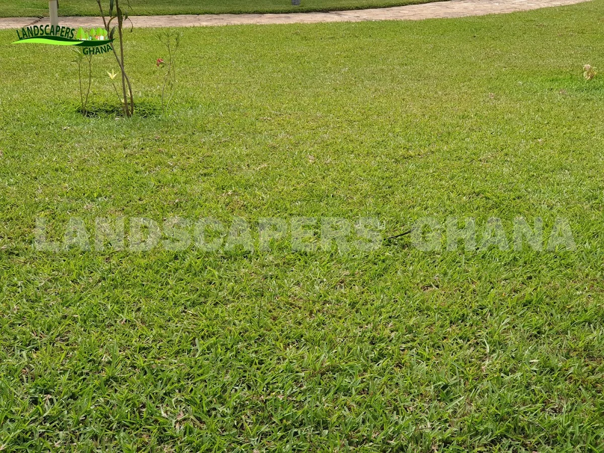 Gallery in Kumasi, Ghana | Expert Landscaping & Garden Design | Landscapers Ghana
