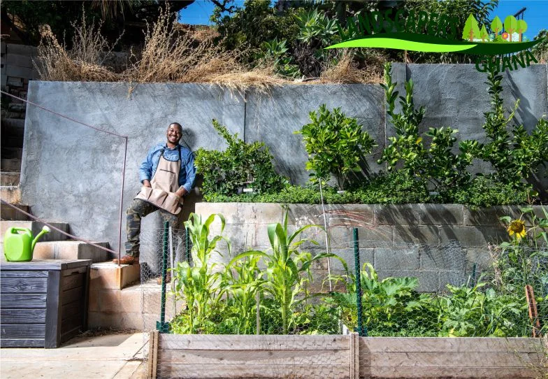 Blog in Labone, Ghana | Expert Landscaping & Garden Design | Landscapers Ghana