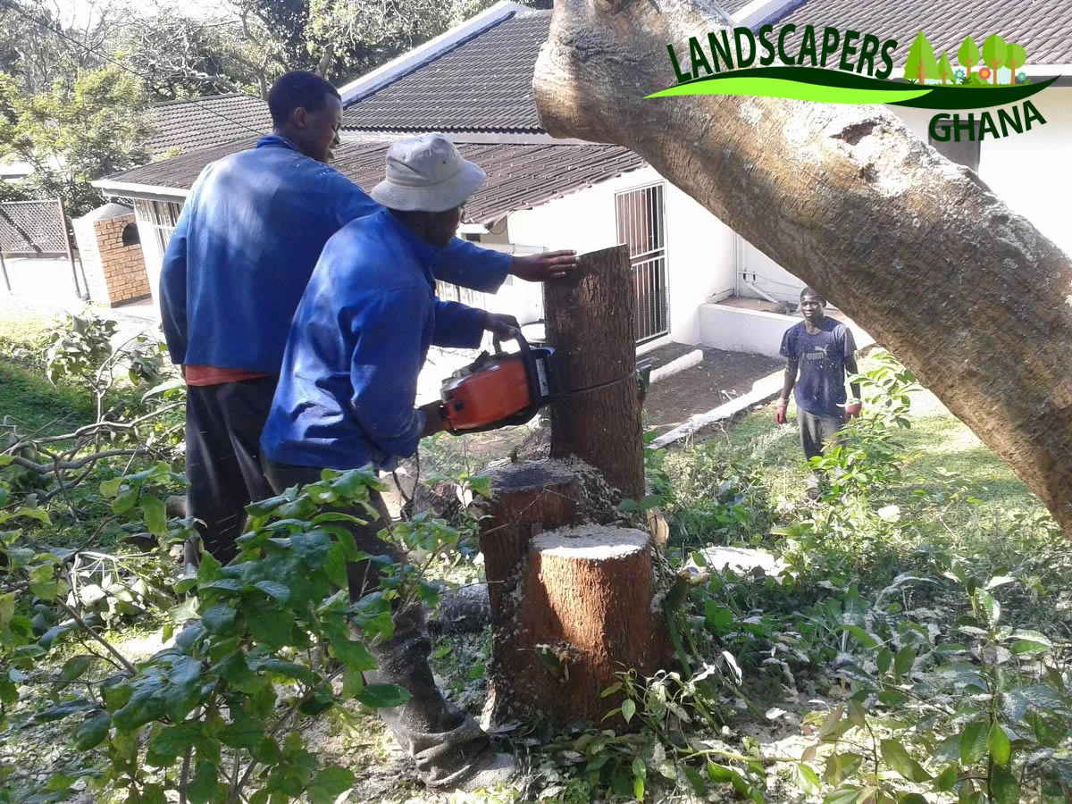 Index in East Legon, Ghana | Expert Landscaping & Garden Design | Landscapers Ghana